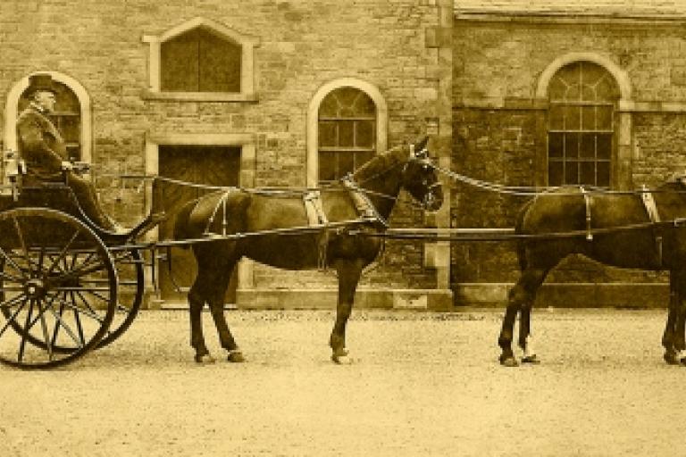 Horses with cart and passenger